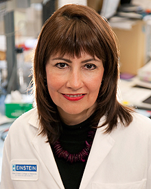 Dr. Nancy Carrasco