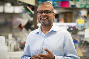 Kartik Chandran, Ph.D., at Albert Einstein College of Medicine, is part of an interdisciplinary team of scientists developing new treatments for ebolavirus infection. 