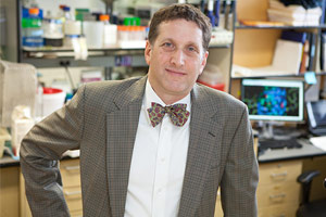 Researchers, led by Steven C. Almo, Ph.D., at Albert Einstein College of Medicine have discovered how the antiviral gene RSAD2 stops viruses from replicating, potentially leading to new drugs.