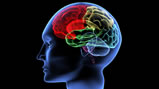 Link Found Between Concussions and Brain Tissue Injury